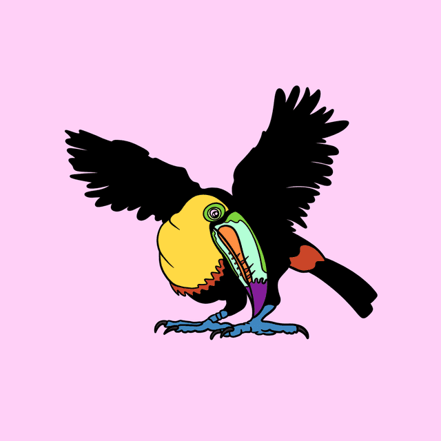 German Bird Names