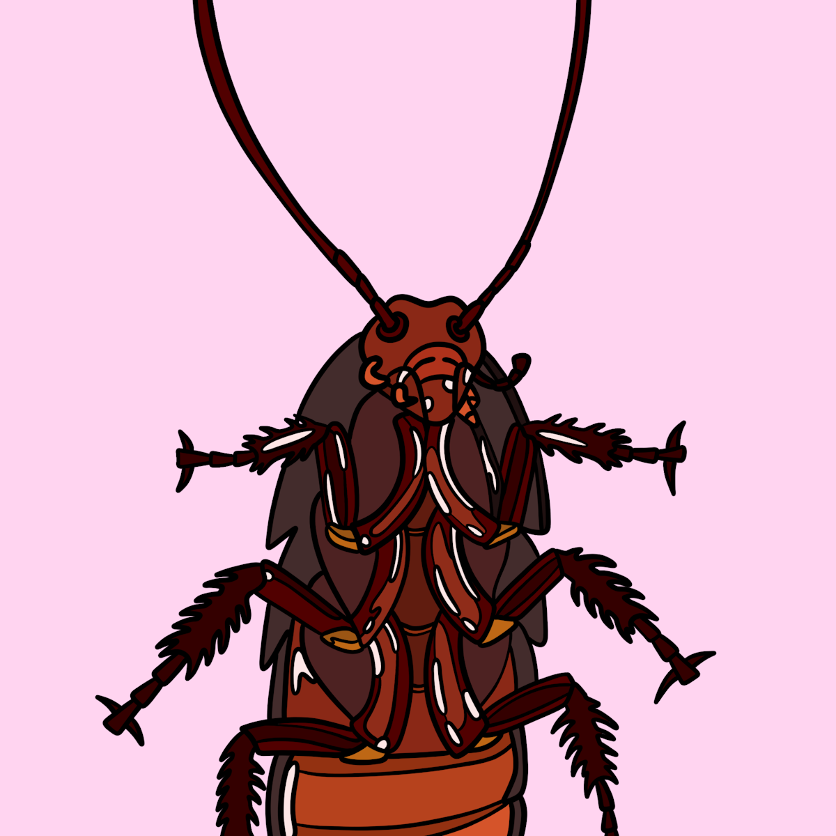 illustration of cockroach from Kafkas book Metamorphosis