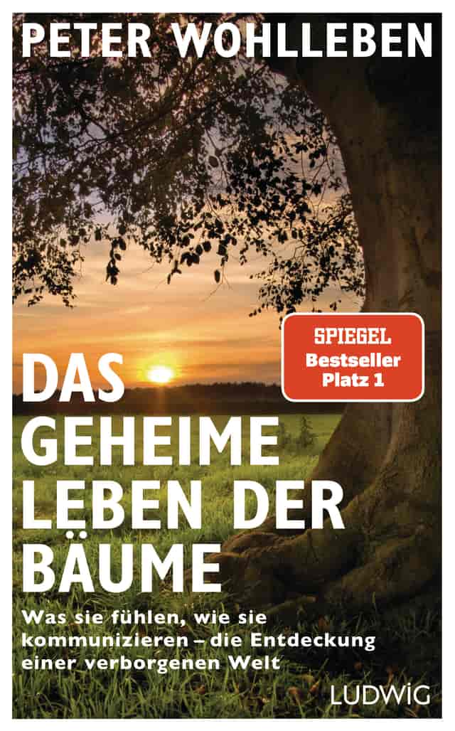 Das geheime Leben der Bäume by Peter Wohlleben