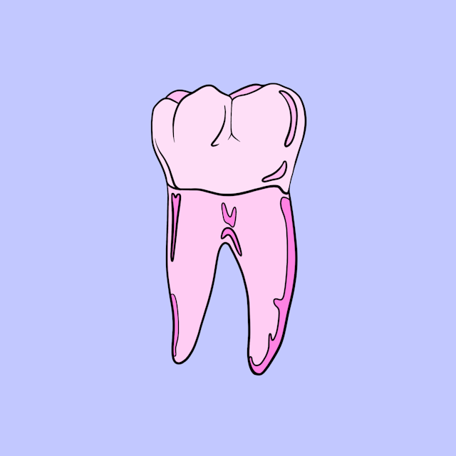 Dentist & Tooth Vocabulary