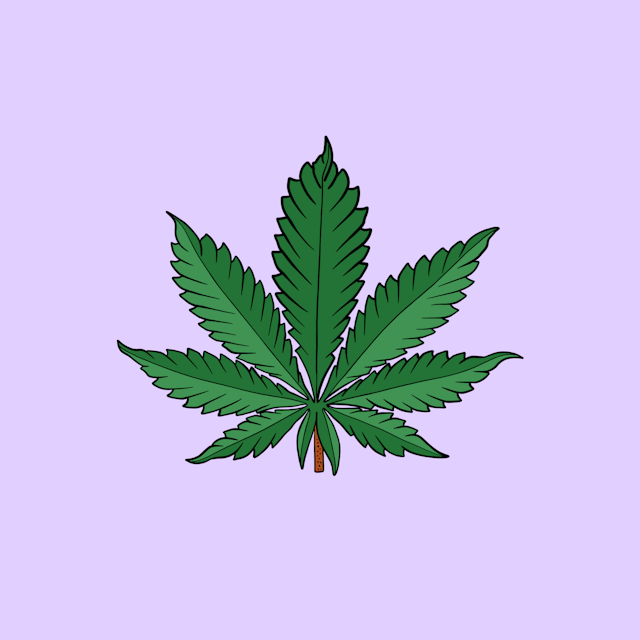 Neues Gesetz zur Legalisierung von Cannabis