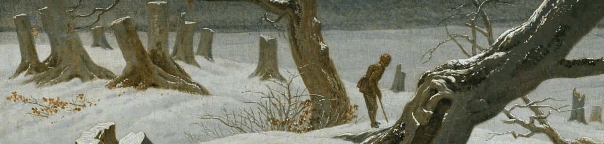 German Negation Exercises: Nicht vs. Kein | Free Exercises